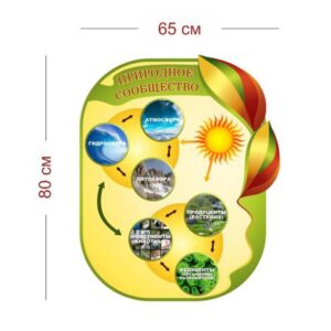 Стенд Природное сообщество 65х80 см