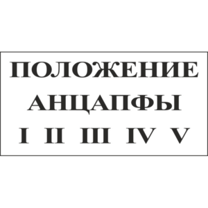 Положение анцапфы