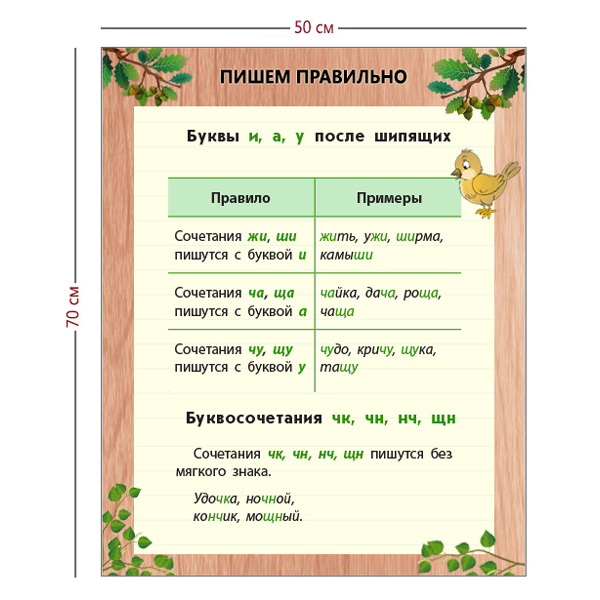 Стенд «Пишем правильно» (1 плакат)