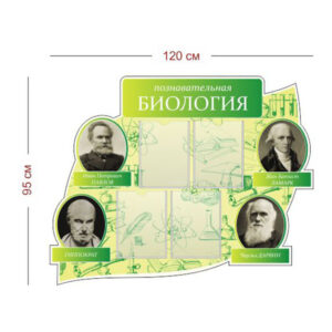 Стенд Познавательная биология 120х95 см (4 кармана А4)