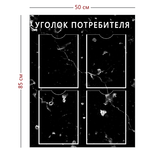Стенд «Уголок потребителя» черный (4 кармана А4)