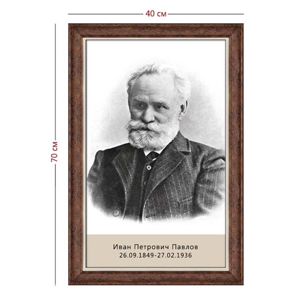 Стенд «Портрет Павлова» (1 плакат)